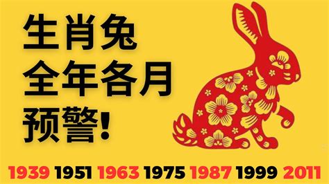 2023兔寶寶時辰|【2023兔寶寶時辰】2023年屬兔幾月出生最好屬兔男孩出生的四。